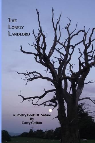 Cover image for The Lonely Landlord