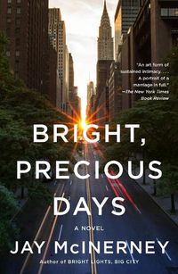 Cover image for Bright, Precious Days: A Novel
