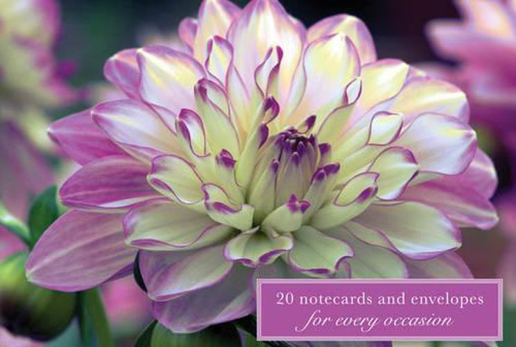 Cover image for Card Box of 20 Notecards and Envelopes: Dahlia