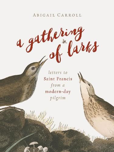 Cover image for Gathering of Larks: Letters to Saint Francis from a Modern-Day Pilgrim