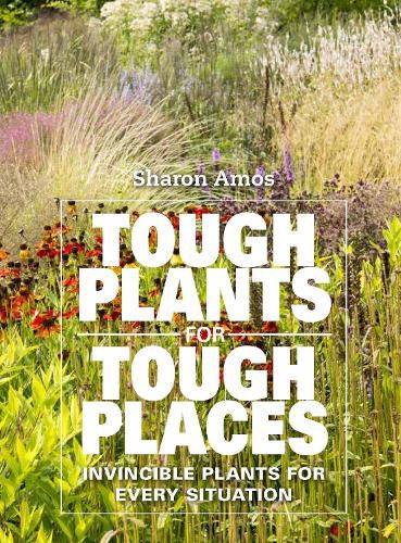 Cover image for Tough Plants for Tough Places