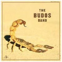 Cover image for The Budos Band