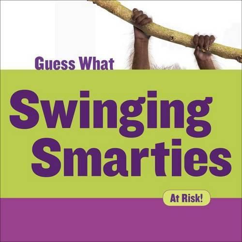 Cover image for Swinging Smarties: Orangutan