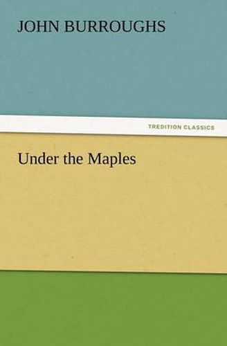 Cover image for Under the Maples