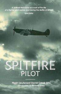 Cover image for Spitfire Pilot