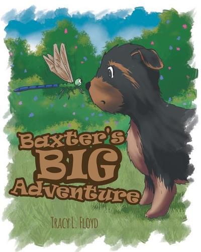 Cover image for Baxter's Big Adventure