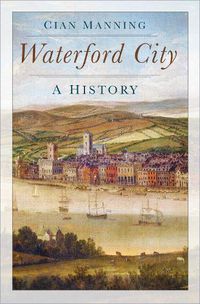 Cover image for Waterford City: A History