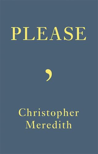 Cover image for Please