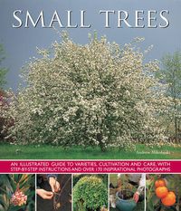 Cover image for Small Trees