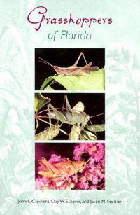 Cover image for Grasshoppers of Florida