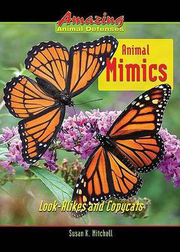 Cover image for Animal Mimics: Look-alikes and Copycats