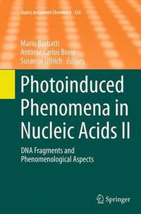 Cover image for Photoinduced Phenomena in Nucleic Acids II: DNA Fragments and Phenomenological Aspects