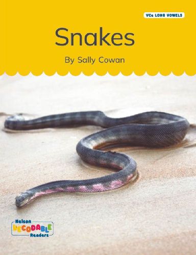 Cover image for Snakes (VCe Long Vowels)