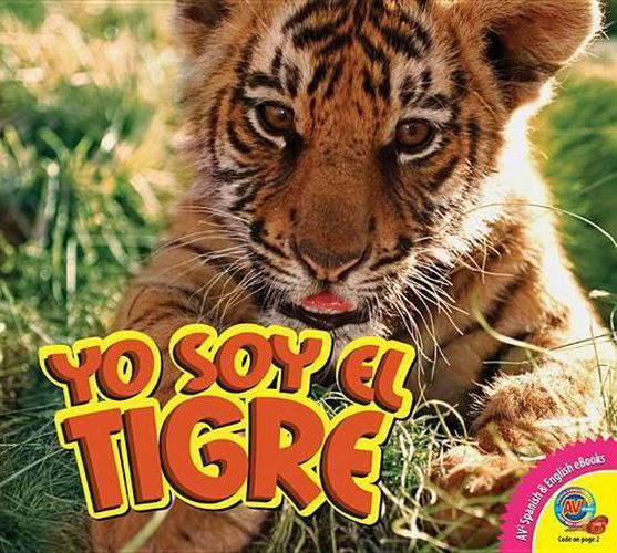 Cover image for Yo Soy el Tigre, With Code