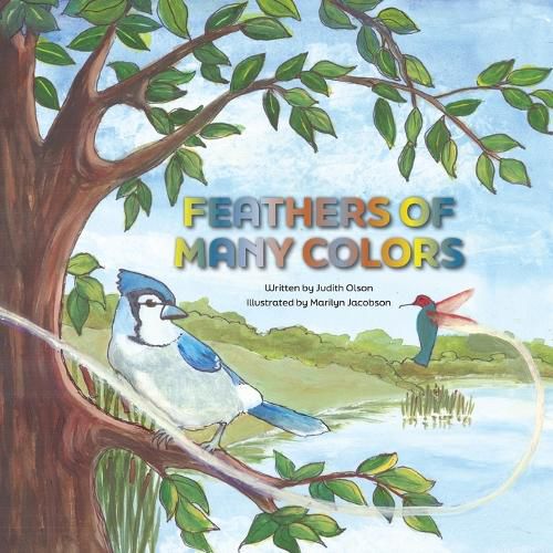 Cover image for Feathers of Many Colors