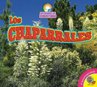 Cover image for Los Chaparrales