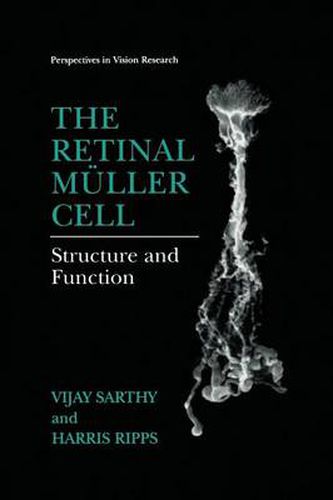 Cover image for The Retinal Muller Cell: Structure and Function