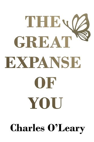 Cover image for The Great Expanse of You