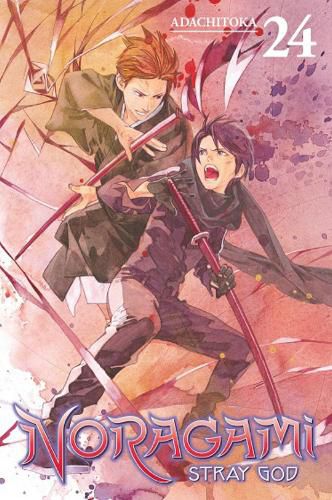 Cover image for Noragami: Stray God 24
