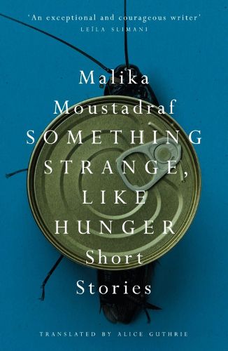 Cover image for Something Strange, Like Hunger: Short Stories