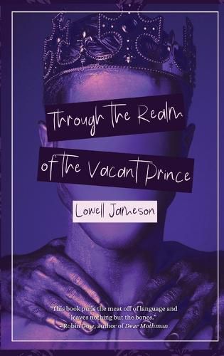 Cover image for Through the Realm of the Vacant Prince