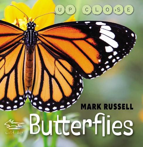 Cover image for Butterflies