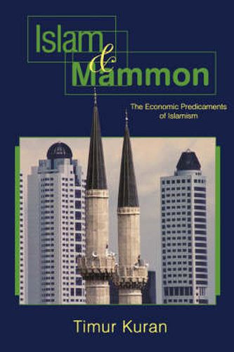 Cover image for Islam and Mammon: The Economic Predicaments of Islamism