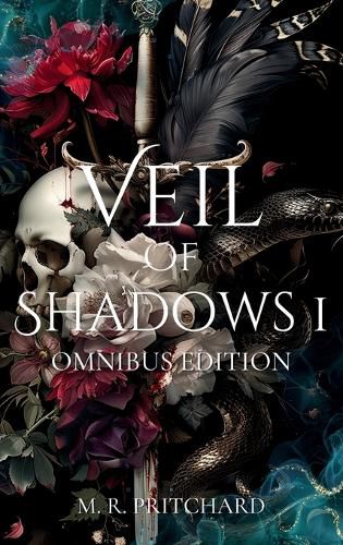 Cover image for Veil of Shadows I