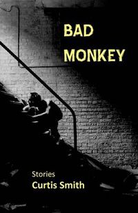 Cover image for Bad Monkey