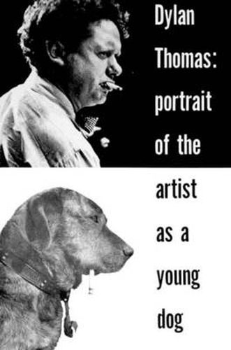 Cover image for Portrait of the Artist as a Young Dog: Stories