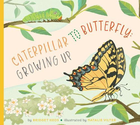 Cover image for Caterpillar to Butterfly: Growing Up