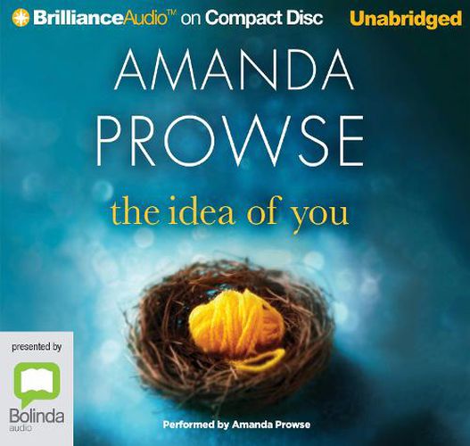 Cover image for The Idea Of You