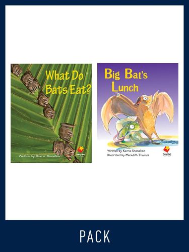 Cover image for Flying Start Guided Reading Pack Level 5, Pack 2: Paired student books (6x6) and lesson plan (1)