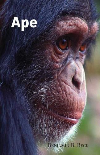 Cover image for Ape