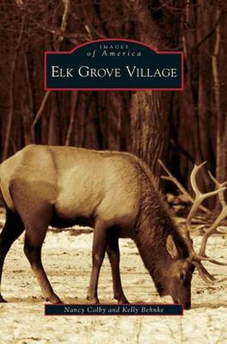 Cover image for Elk Grove Village