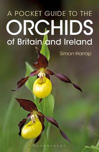 Cover image for Pocket Guide to the Orchids of Britain and Ireland