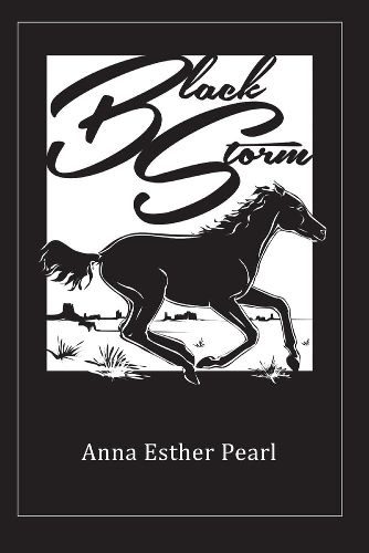 Cover image for Black Storm