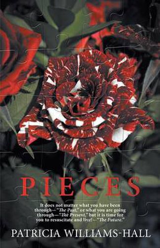 Cover image for Pieces