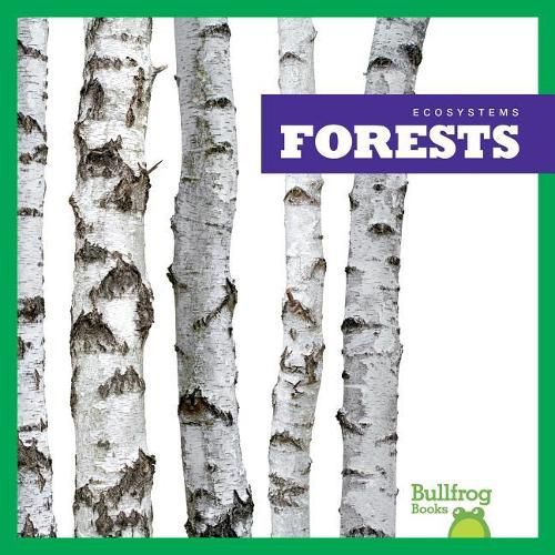 Cover image for Forests