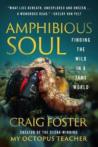 Cover image for Amphibious Soul