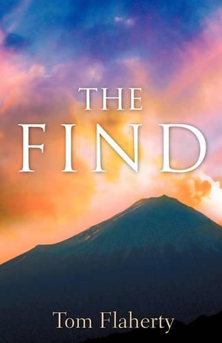 Cover image for The Find