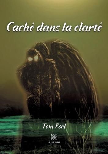 Cover image for Cache dans la clarte