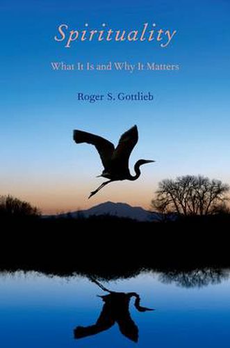 Cover image for Spirituality: What It Is and Why It Matters