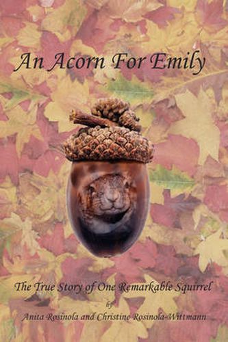 Cover image for An Acorn for Emily: The True Story of One Remarkable Squirrel