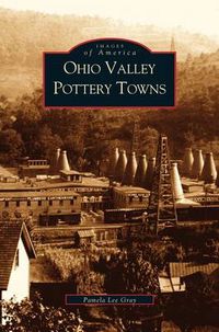 Cover image for Ohio Valley Pottery Towns