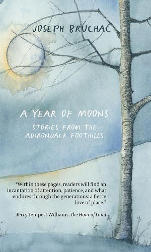 Cover image for A Year of Moons: Stories From The Adirondack Foothills