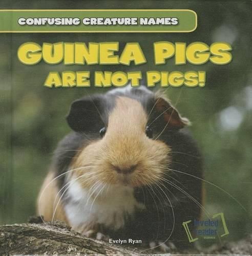 Cover image for Guinea Pigs Are Not Pigs!