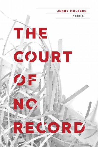 Cover image for The Court of No Record