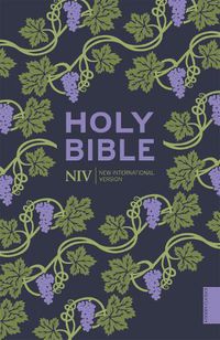Cover image for NIV Holy Bible (Hodder Classics)