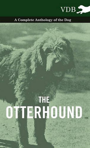 Cover image for The Otterhound - A Complete Anthology of the Dog